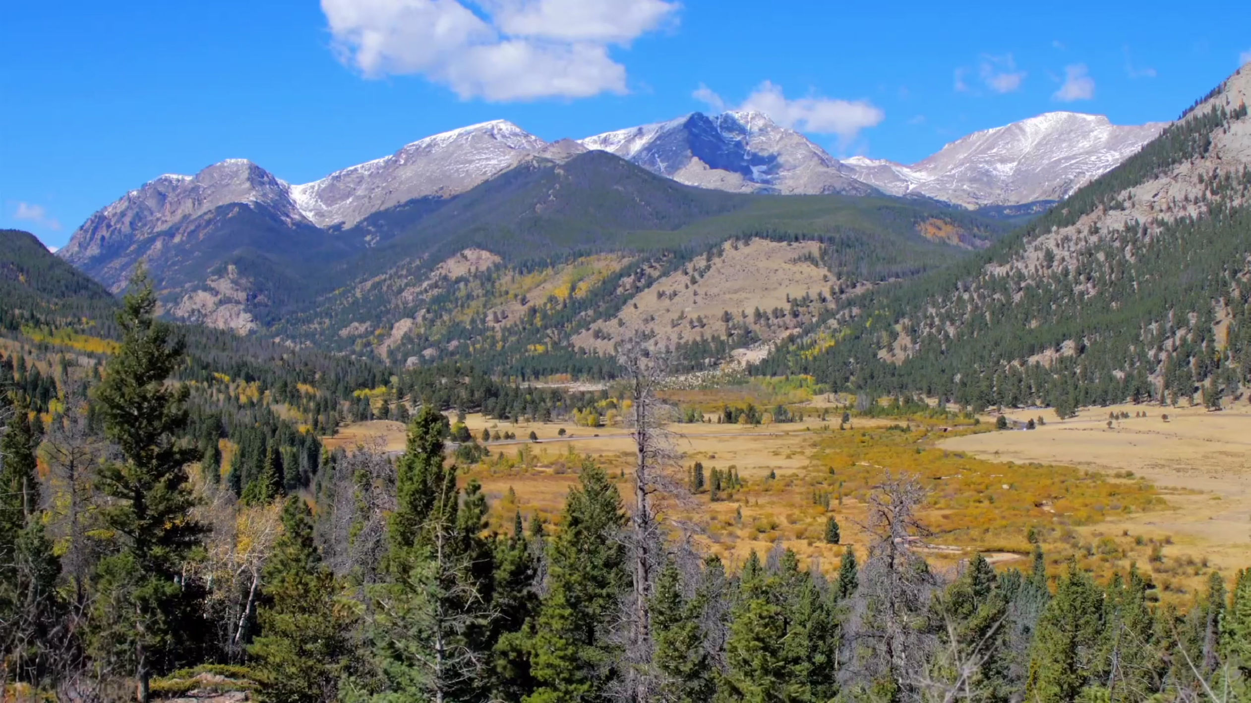 In Loving Memory W/MagicTouch